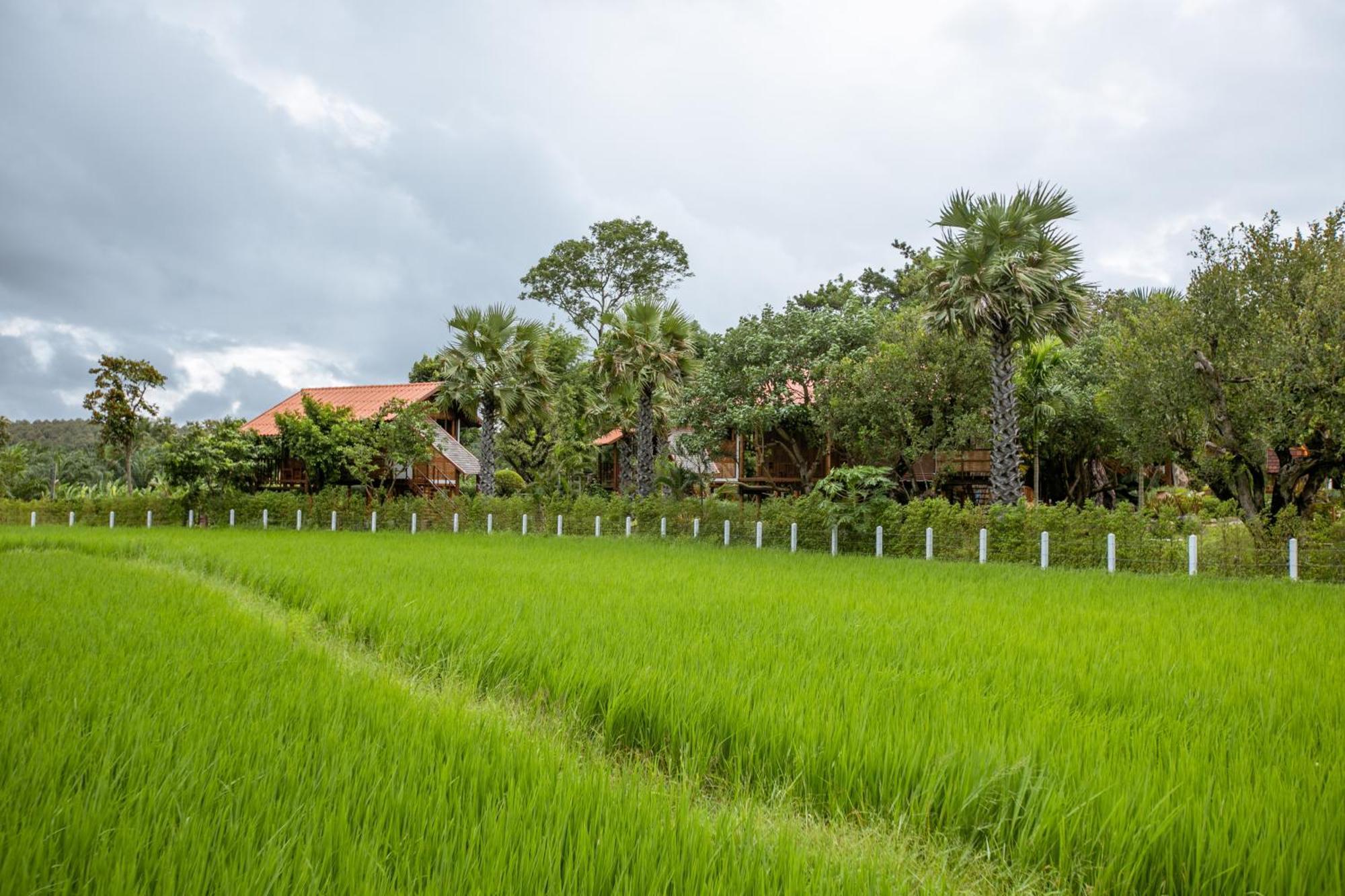 Saksila Resort Nan Exteriér fotografie
